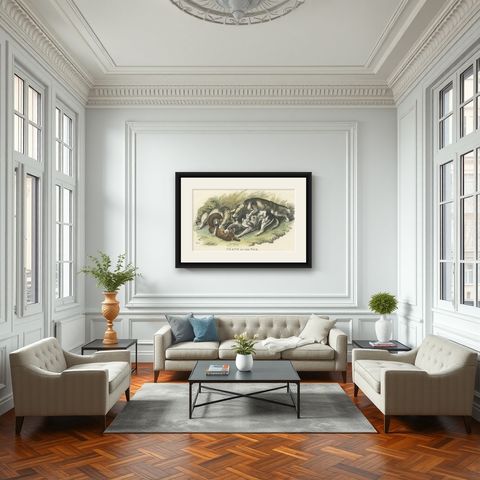 Antique Hand-Colored Print of Hunting Dogs Attacking a Fox, 1812, shown framed in a room