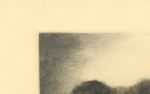 Kitten Playing with a Marble, Etching by Kurt Meyer-Eberhardt, 1977 Estate, close-up 1