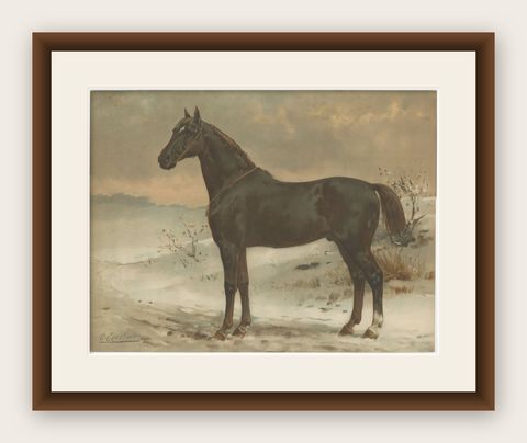 Antique Print of the Russian Half-Blood Horse by O. Eerelman, 1898, shown framed