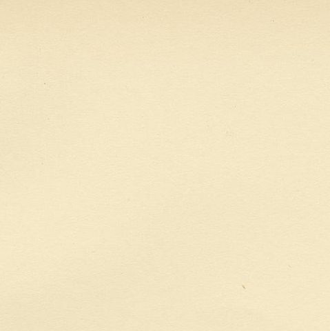 Antique Bird Print of the Typical Warbler by Von Wright, 1927, close-up 1