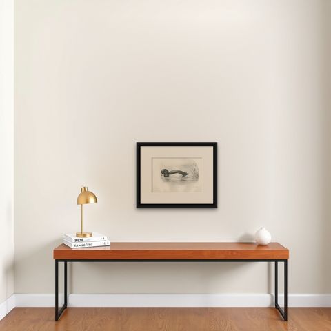 Tufted Duck, Antique Bird Print after Lilian Medland, circa 1909, shown framed on a wall