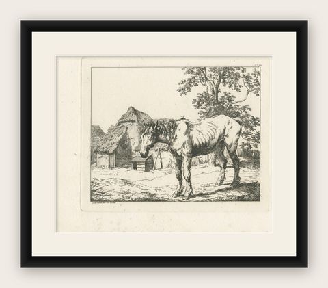 Rustic Farm Horse Study, English Animal Etching by Robert Hills, 1801, shown framed