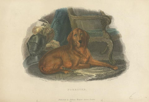 Antique Print of a Hound Dog by Pittman, 'circa 1835', view 4