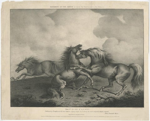 Original Antique Lithograph of a Horse Showing the Passion 'Rage & Agony', 1827, view 2