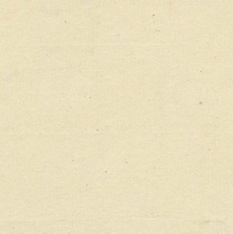 Antique Zoological Engraving of a Rodent, D.R. Nitschmann & J. Nußbiegel, c.1800, close-up 5