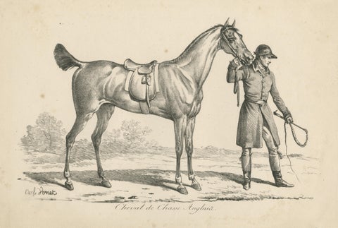 Antique Print of a Horse used for Hunting in England, view 3