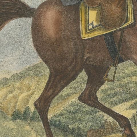 Antique Hand Colored Print of a Swiss Horse, close-up 2