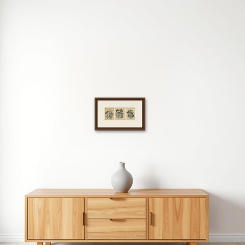Exquisite 19th-Century Butterfly Lithographs: A Study of Exotic Lepidoptera, shown framed on a wall