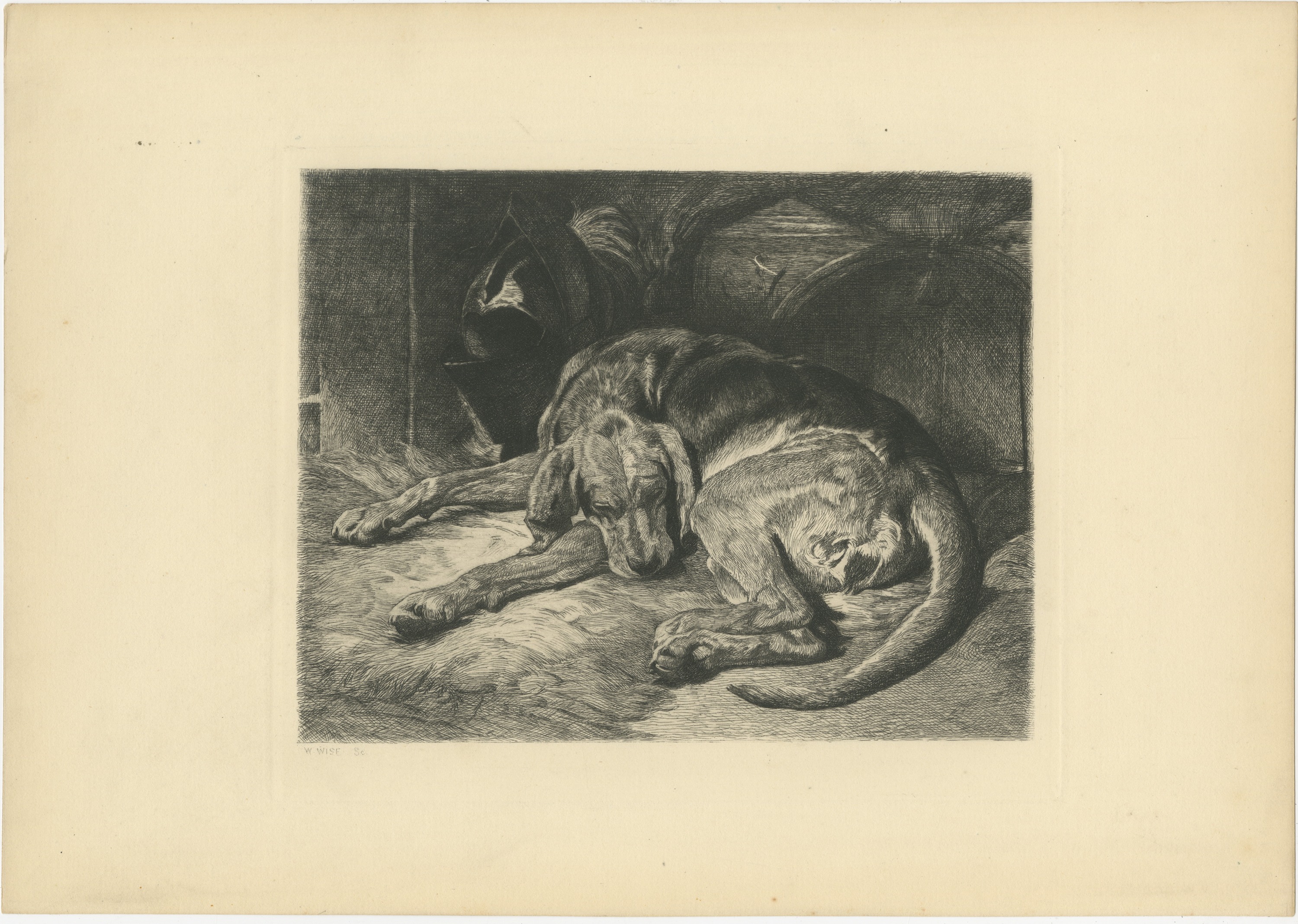 Sleeping Hound with a Plumed Helmet, Antique Etching by W. Wise, circa 1880, view 2