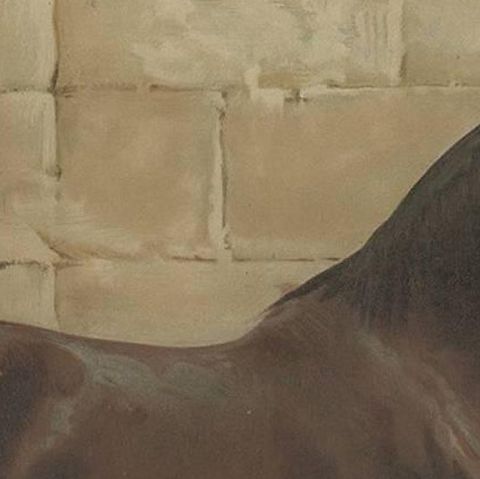 Antique Print of the East Prussian Horse by O. Eerelman, 1898, close-up 1