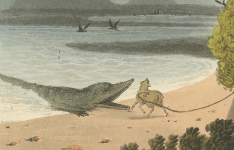 Foreign Field Sports: Egyptians, Crocodile Catching by Dubourg & Howitt, 1813, close-up 3