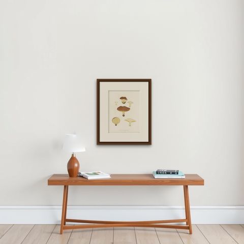 Antique Mycology Print of the Suillus Granulatus by Fries, c.1860, shown framed on a wall