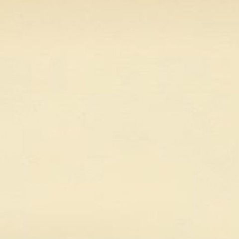 Antique Bird Print of The Rustic Bunting by Von Wright, 1927, close-up 1