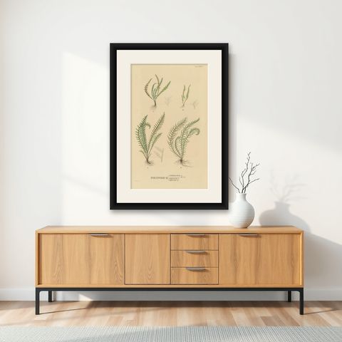 Rare Majestically Handcolored Lithograph of Ferns of Java 'Polypodium', 1829, shown framed on a wall
