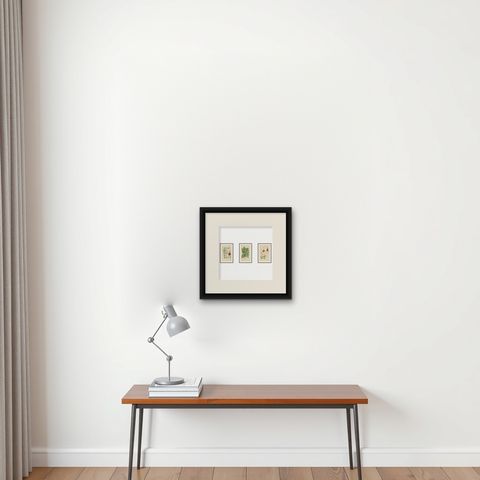Orchids & Norfolk Pine, Set of 3 Antique Botanical Lithographs 1897, shown framed on a wall