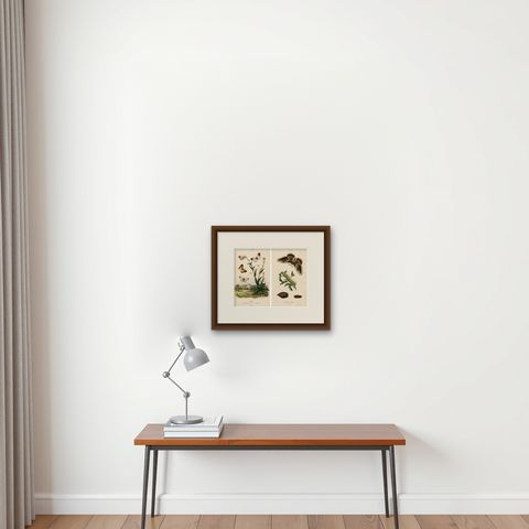 Pair of French Butterfly & Moth Engravings by E. Guérin, 1835, shown framed on a wall
