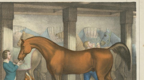 Antique Horse Stable Lithograph - The Young Master’s Favorites, c.1827, close-up 4