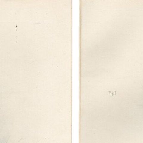Adult Sparrowhawk and Chicks Antique Bird Prints, Set of Two, circa 1908, close-up 4
