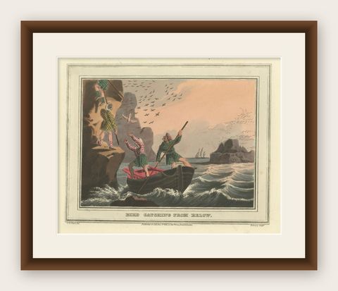 Foreign Field Sports: Bird Catching Aquatint by Dubourg & Howitt, 1813, shown framed