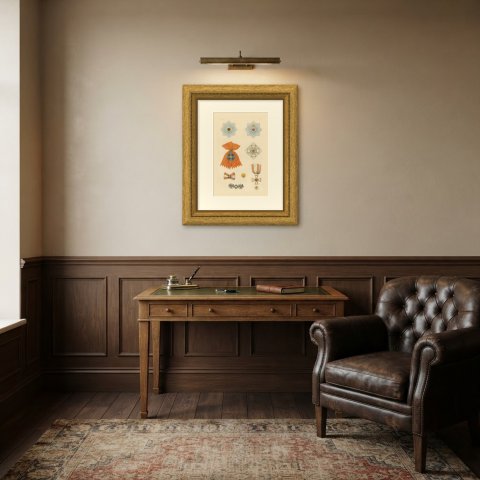 Orders of Prussia, Black Eagle and Red Eagle Insignia, Plate LX, 1844, shown framed in a room