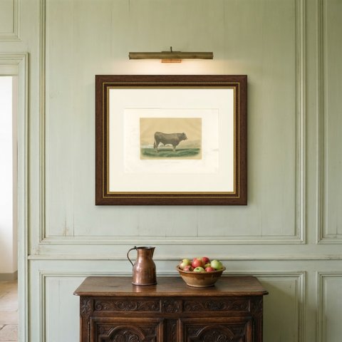 Garonnais Bull, Antique Cattle Print after Isidore Bonheur, 1873, shown framed on a wall