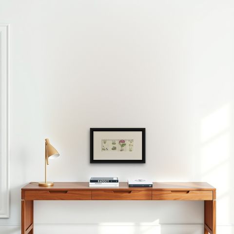 Alpine Botanical Lithograph Quartet: Micomeria, Edelweiss, Primula, and Arabis, shown framed on a wall