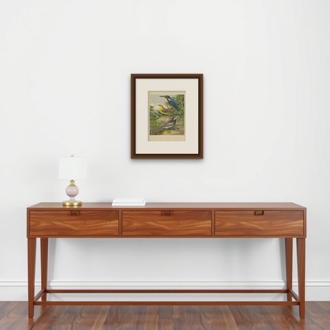 Antique Bird Print of the Kingfisher, Yellow-Wagtail, White Wagtail, circa 1880, shown framed on a wall