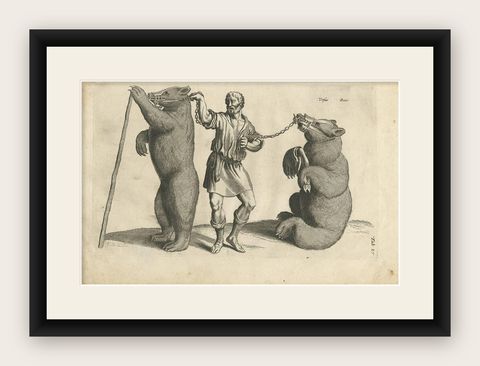 Antique Print of a Man with Two Bears by J. Jonston, 1657, shown framed