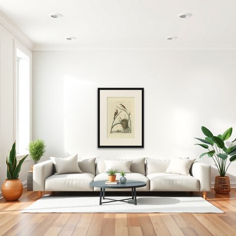 Original Hand-Colored Antique Bird Print of the Common Whitethroat, 1789, shown framed in a room