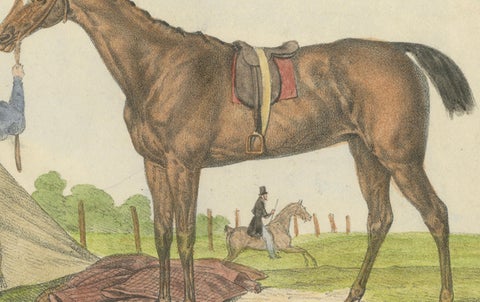 19th Century Hand-Colored Lithograph of Horse "Bergère" from Journal des Haras, close-up 1