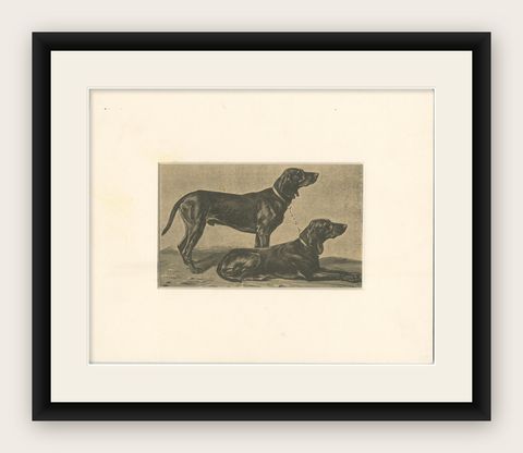 Swiss Hound Briquets, Antique Dog Print, circa 1880, French Publication, shown framed