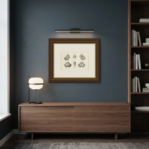 The Brain Stem and Cerebellum, Antique Hirschfeld Anatomy Print, 1866, shown framed in a room