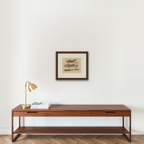 Antique Animal Print of Clingfishes by C. Hoffmann, 1847, shown framed on a wall
