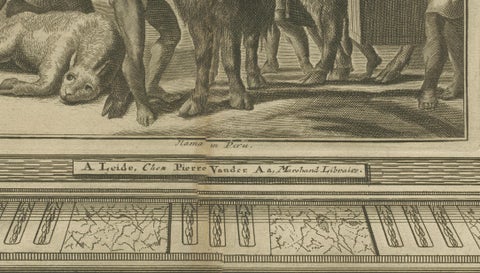 Original Antique Engraving of Peruvian Llamas by Arnoldus Montanus, c.1671, close-up 4