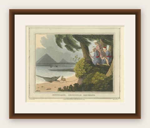 Foreign Field Sports: Egyptians, Crocodile Catching by Dubourg & Howitt, 1813, shown framed
