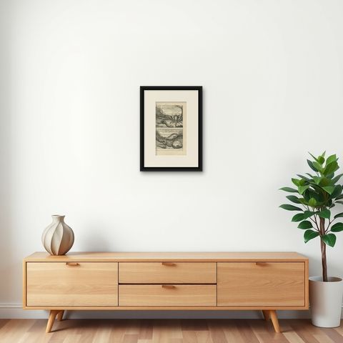 Antique Print of Fish Species 'No. 468' by Valentijn, 1726, shown framed on a wall