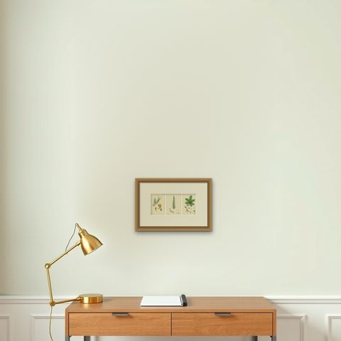 Botanical Engravings of Water-Milfoil, Mare’s-tail, and Red-Berried Bryony, 1902, shown framed on a wall