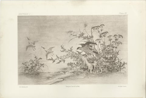 Japanese Nature Scene Prints: Delicate 19th-Century Botanical & Bird Etchings, view 2