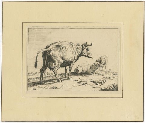 Set of 8 Dutch Golden Age Cattle Etchings, After Paulus Potter, c.1650, view 9