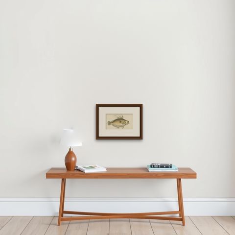 Antique Print of the Dory Fish by J. Couch, circa 1870, shown framed on a wall