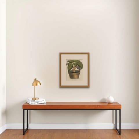 Regal Prayer Plant: Hand-Colored Lithograph by Louis van Houtte, 1855, shown framed on a wall