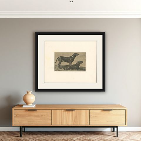 Swiss Hound Briquets, Antique Dog Print, circa 1880, French Publication, shown framed on a wall