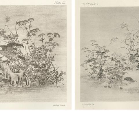 Japanese Nature Scene Prints: Delicate 19th-Century Botanical & Bird Etchings, close-up 3