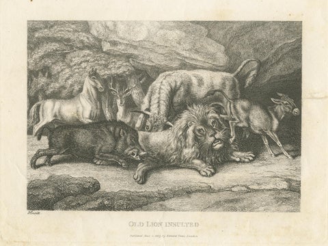 Original Antique Print of Old Lion Insulted, view 3