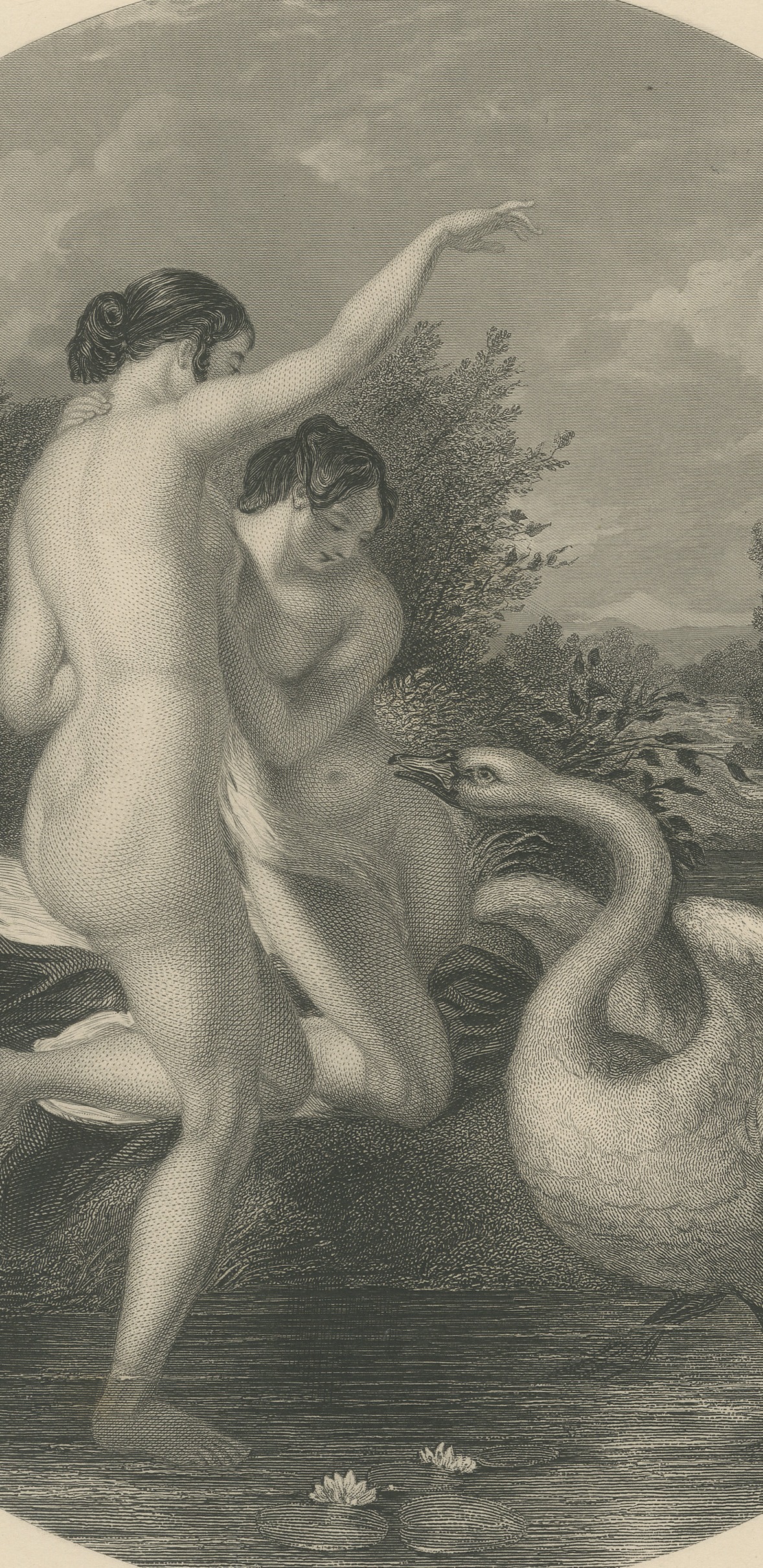 Bathers Surprised by a Swan after William Etty, Engraving by Portbury, c. 1860, view 5