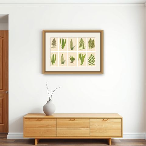 Exotic Victorian Fern Lithograph Collection with English Species Names, 1856, shown framed on a wall
