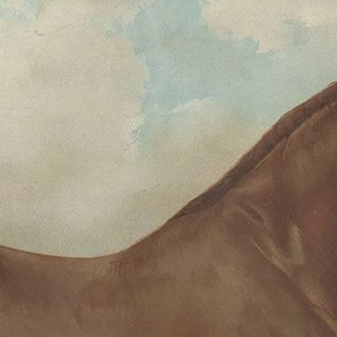 Antique Print of the Hackney Horse by O. Eerelman, 1898, close-up 1