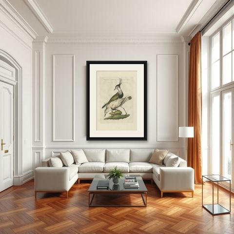 Tringa vanellus, Northern Lapwing (Kievit/Ljip) by Nozeman & Sepp, 1809, shown framed in a room