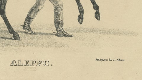 Antique Arabian Horse Lithograph “Aleppo” by August Jäger, 1846, close-up 4