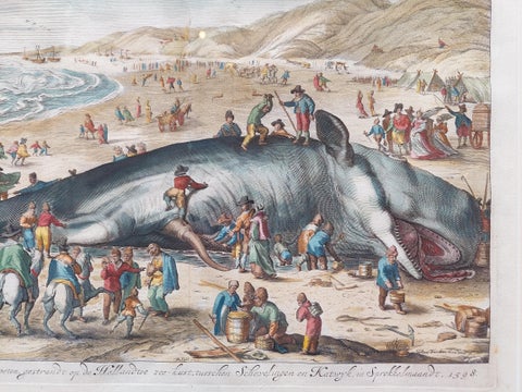 Antique Print of a Beached Whale by Van der Gouwen 'c.1680', view 4